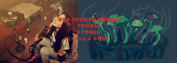 МДПВ Нижний Тагил