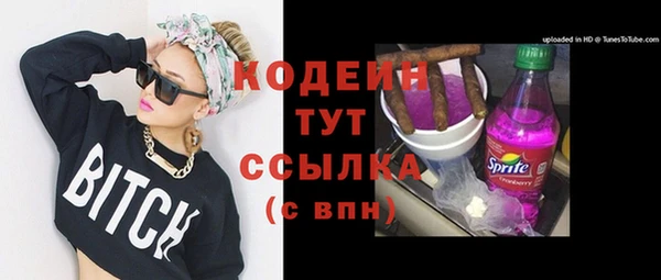 молекула духа Няндома