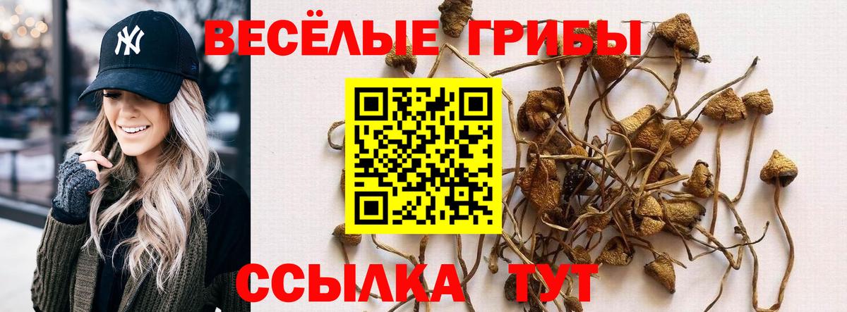 Псилоцибиновые грибы GOLDEN TEACHER  Вход с VPN  Красноармейск 