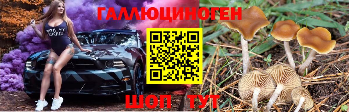 Галлюциногенные грибы MAGIC MUSHROOMS  Красноармейск 