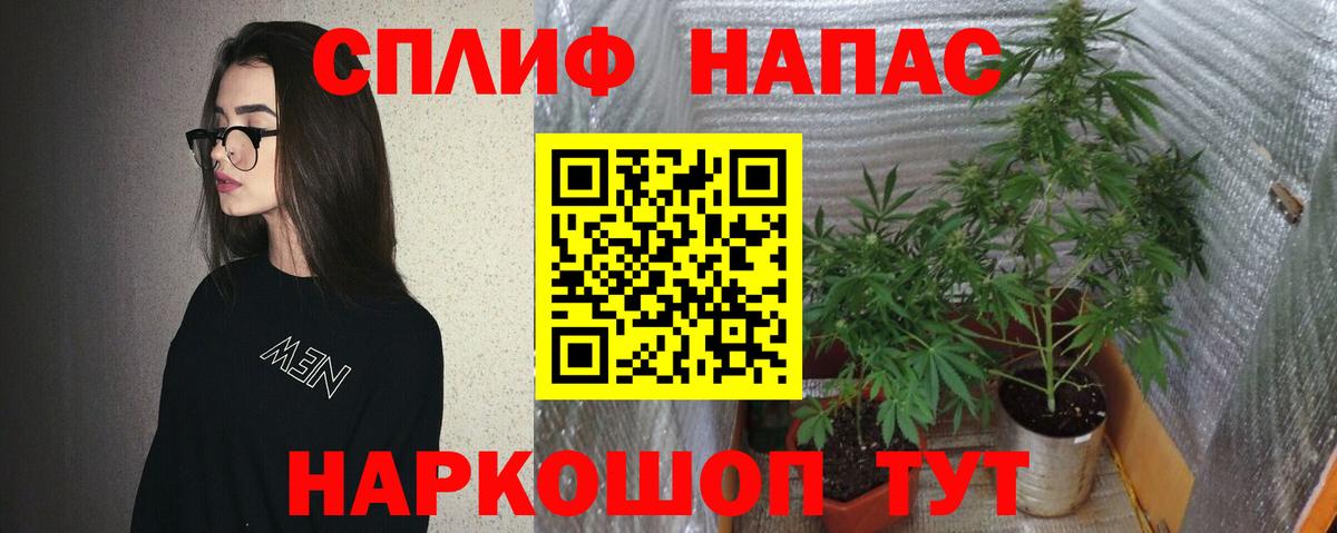 Каннабис конопля Красноармейск